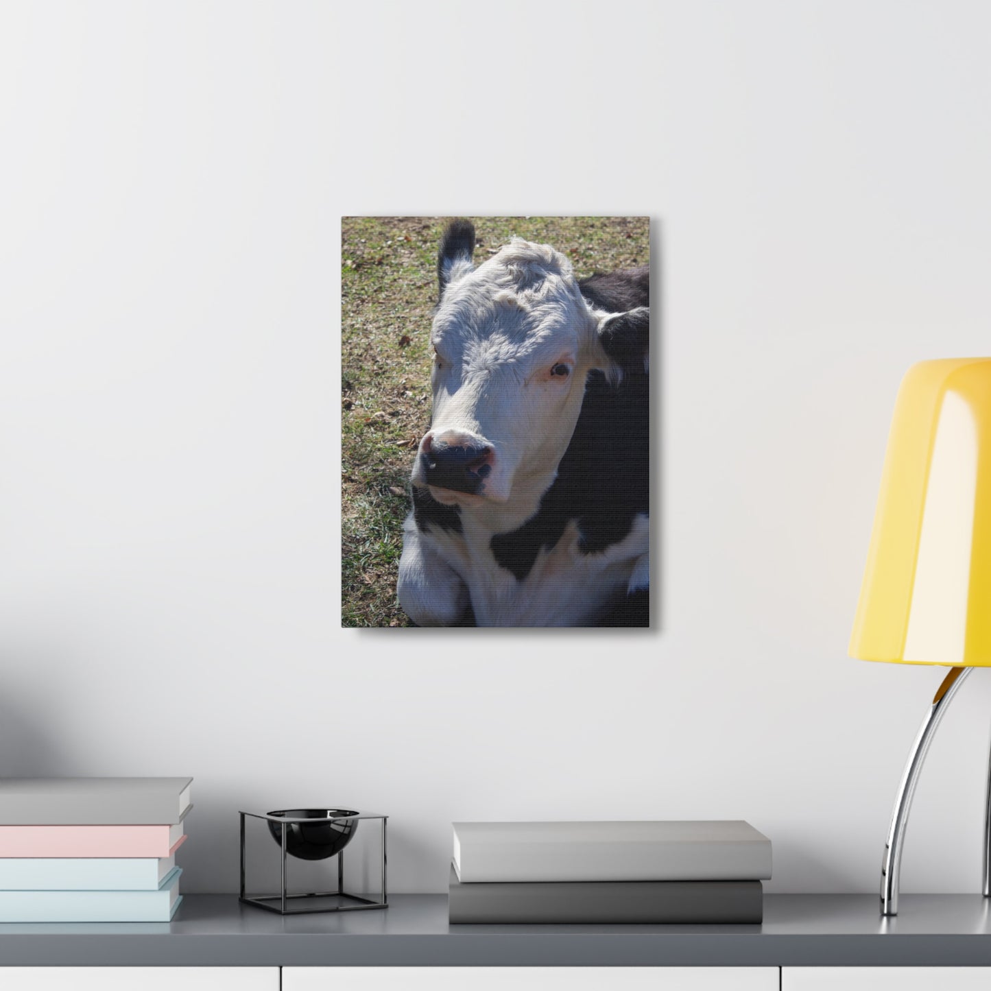 Resting Cow Canvas