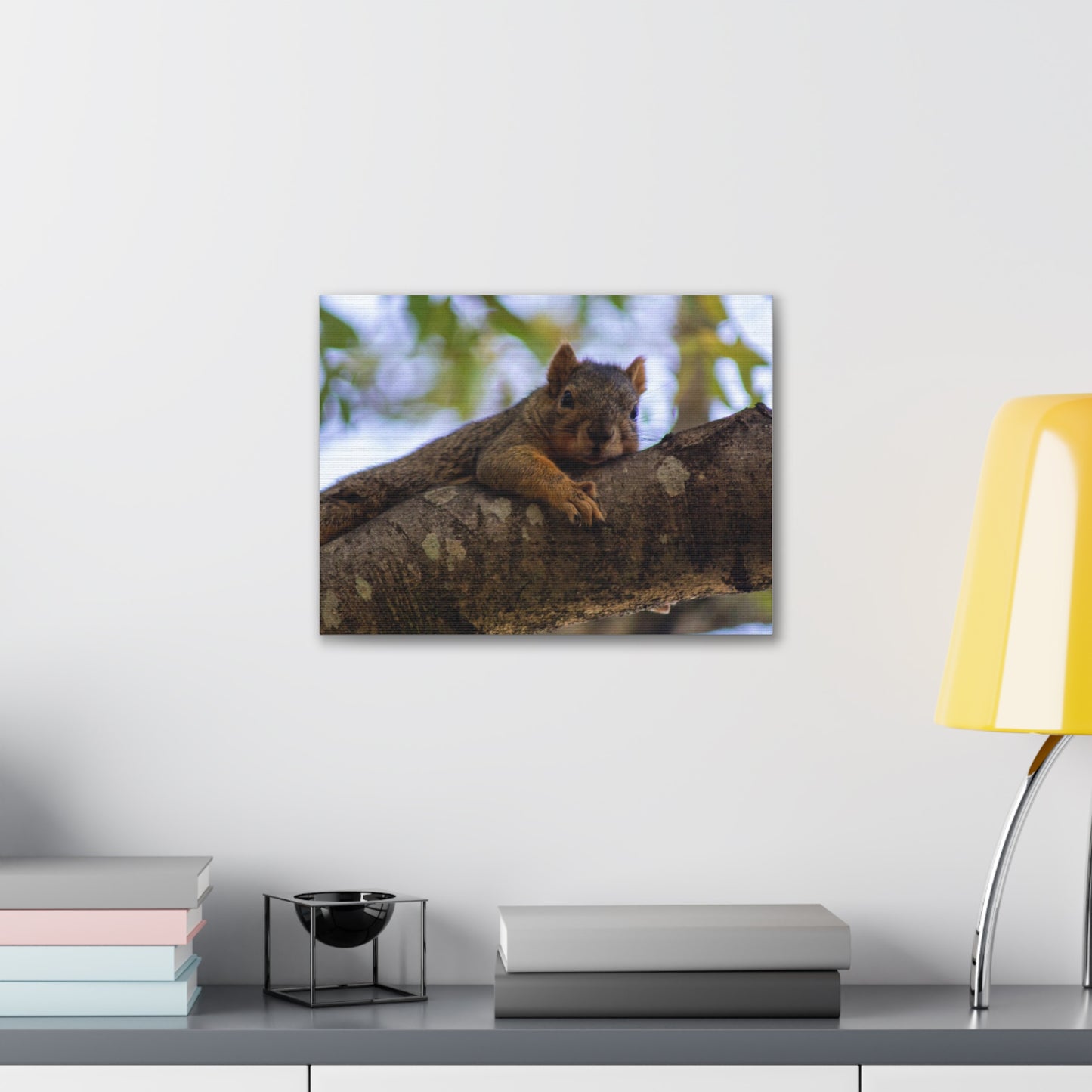Squirrel Canvas