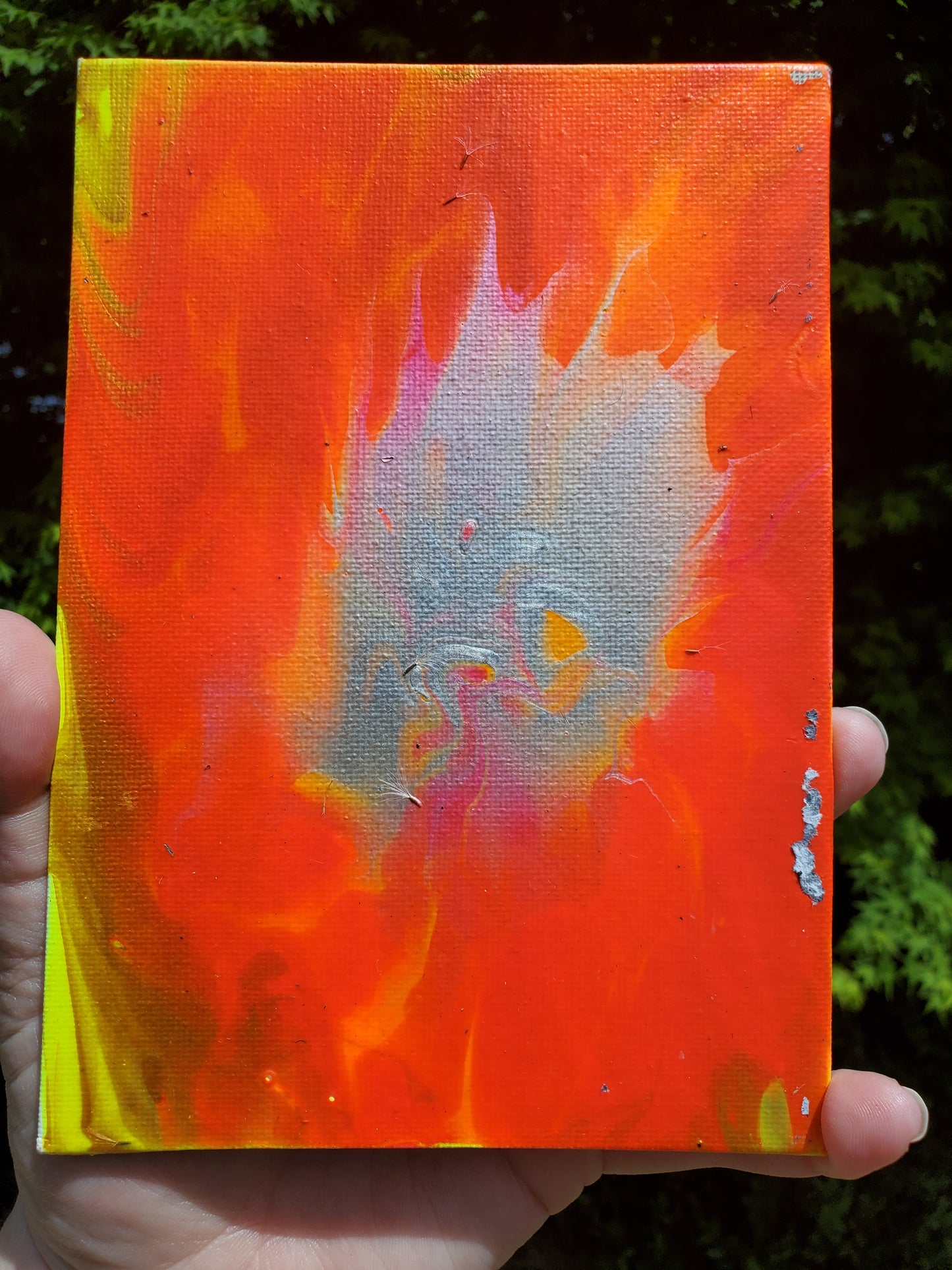 Shining Bright