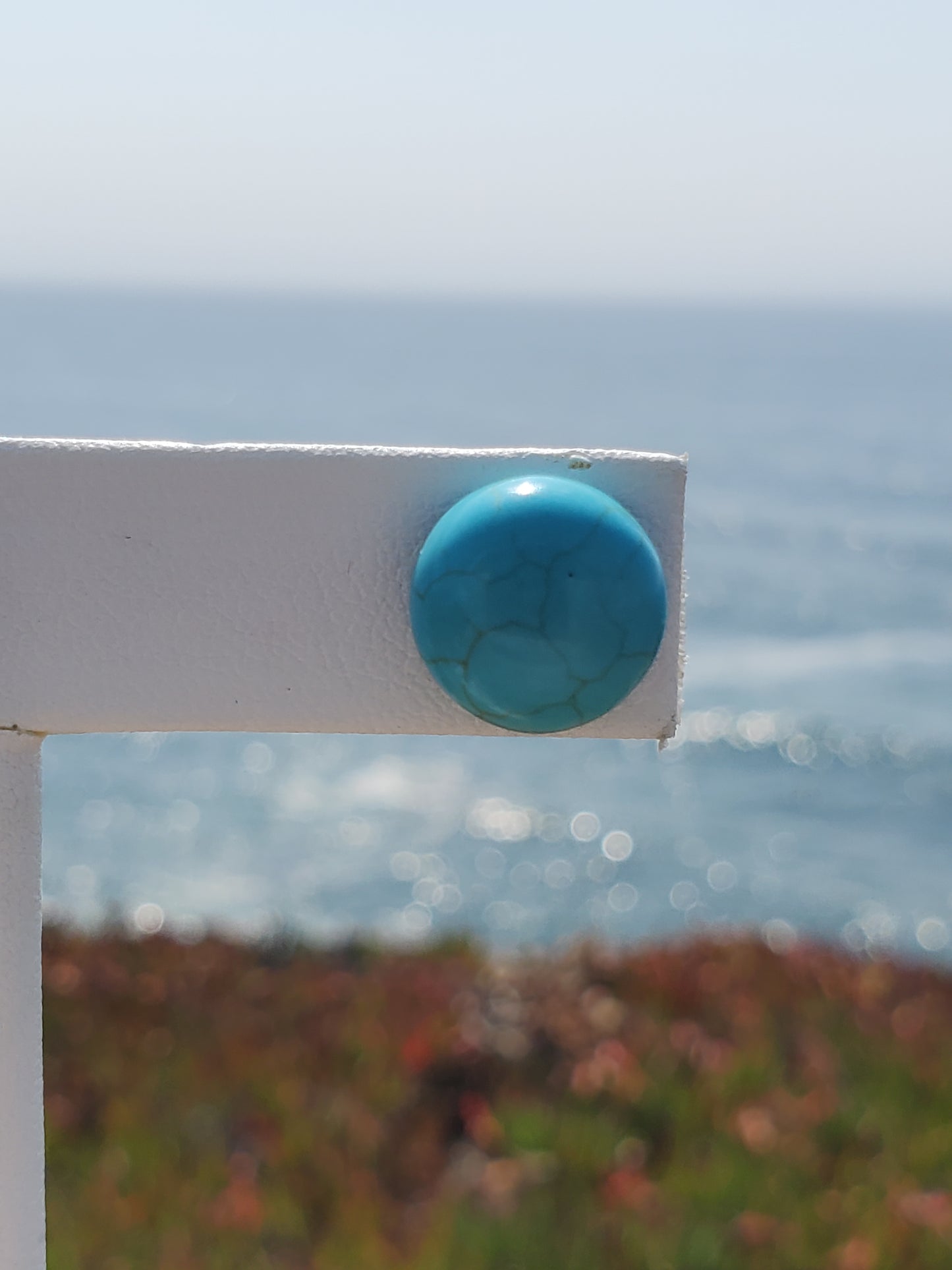 Blue Howlite Round Stud Earrings