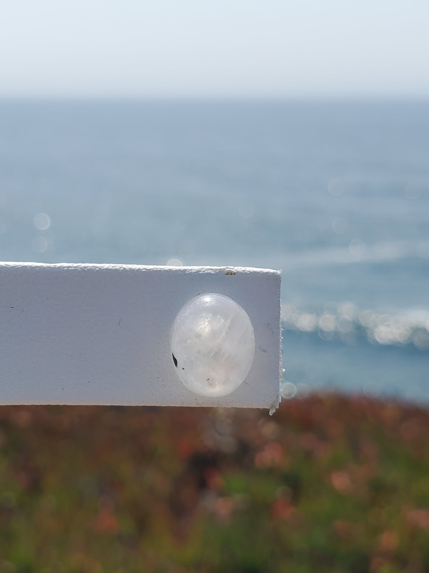 Moonstone Oval Stud Earrings