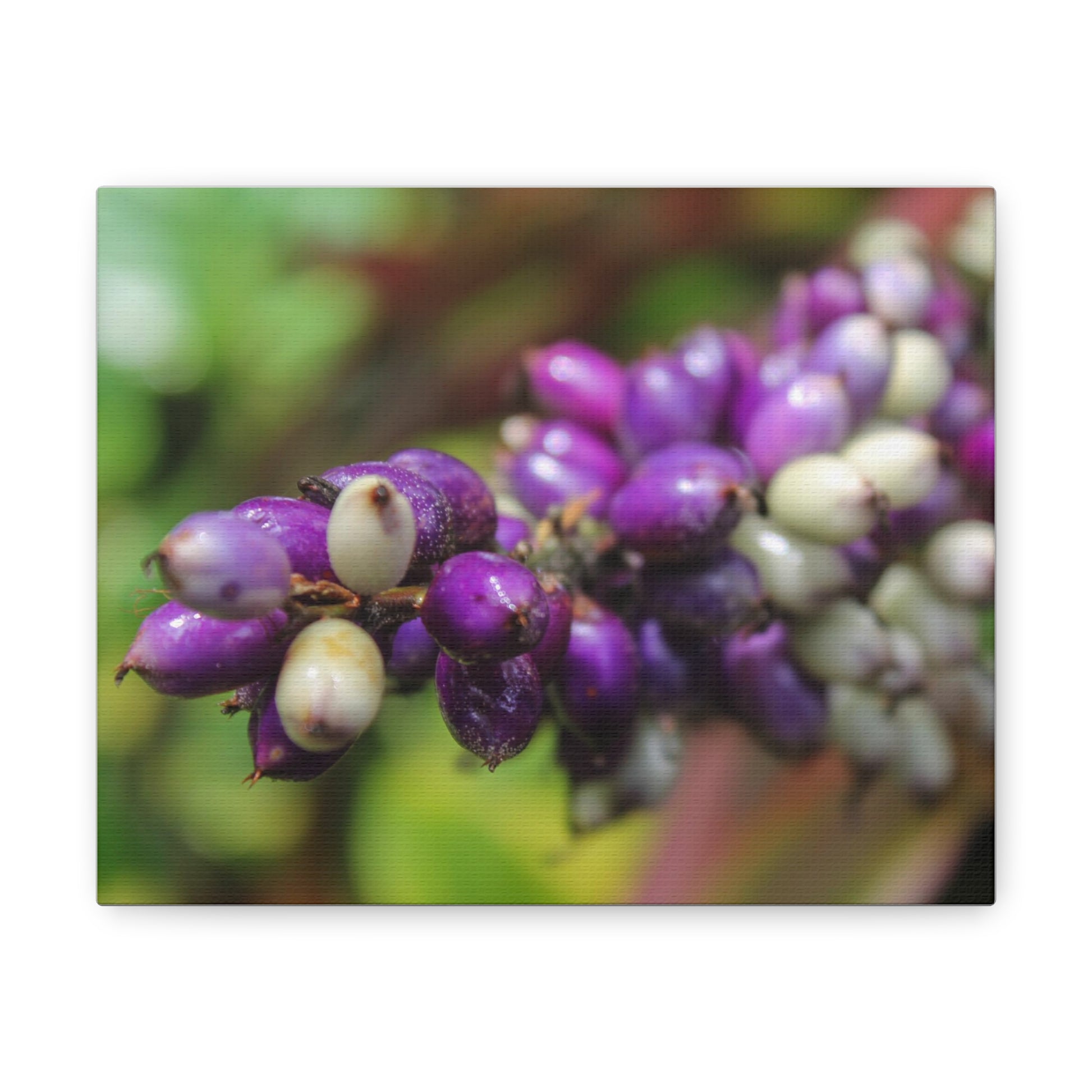 hawaiian plant seeds Hawaiian Seeds Canvas – Moonchild Celestial Creations