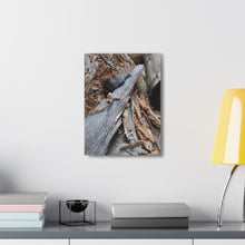 Load image into Gallery viewer, Wooden Textures Canvas
