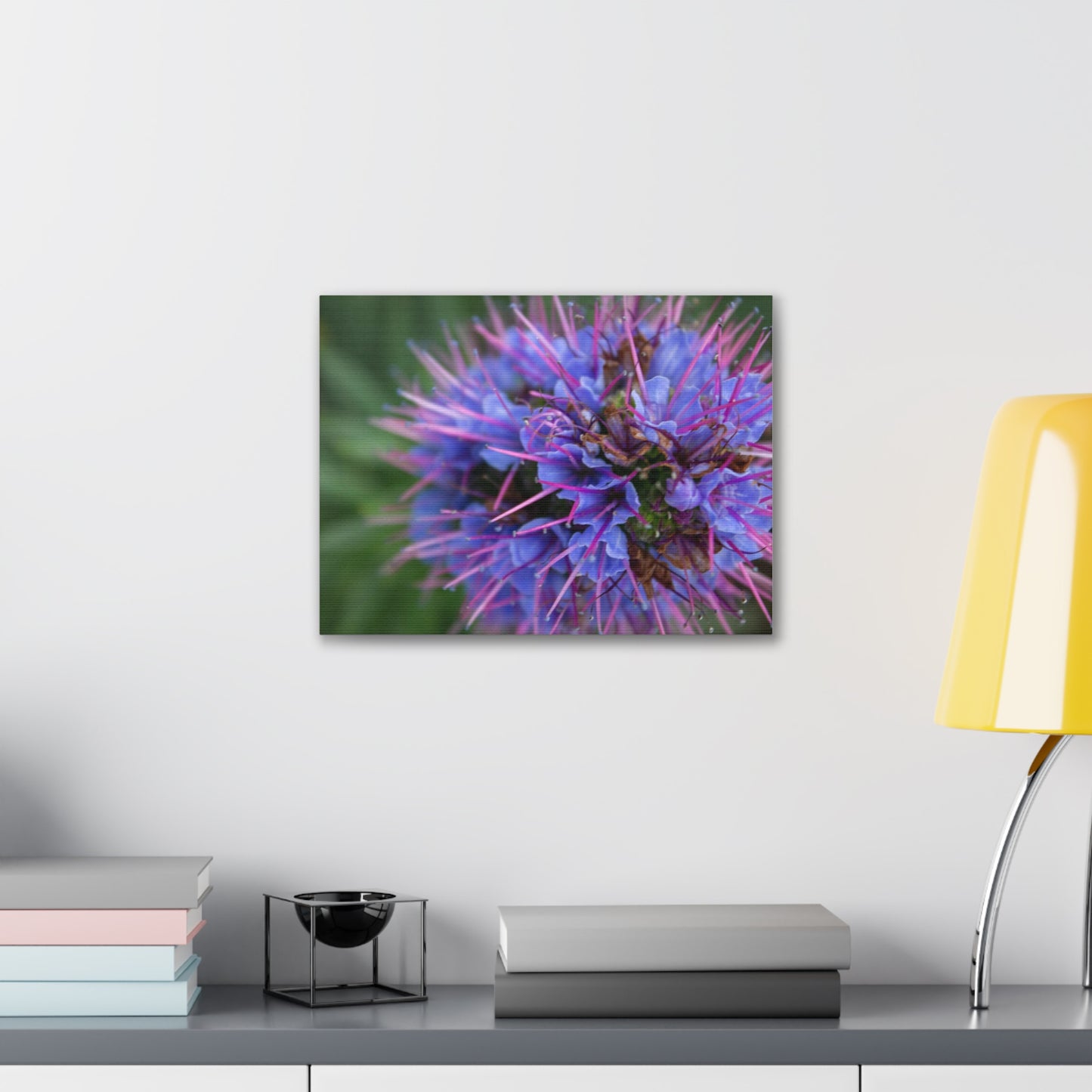 Purple Pride of Madeira Canvas