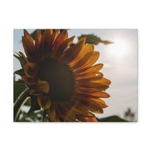 Load image into Gallery viewer, Orange Sunflower Canvas
