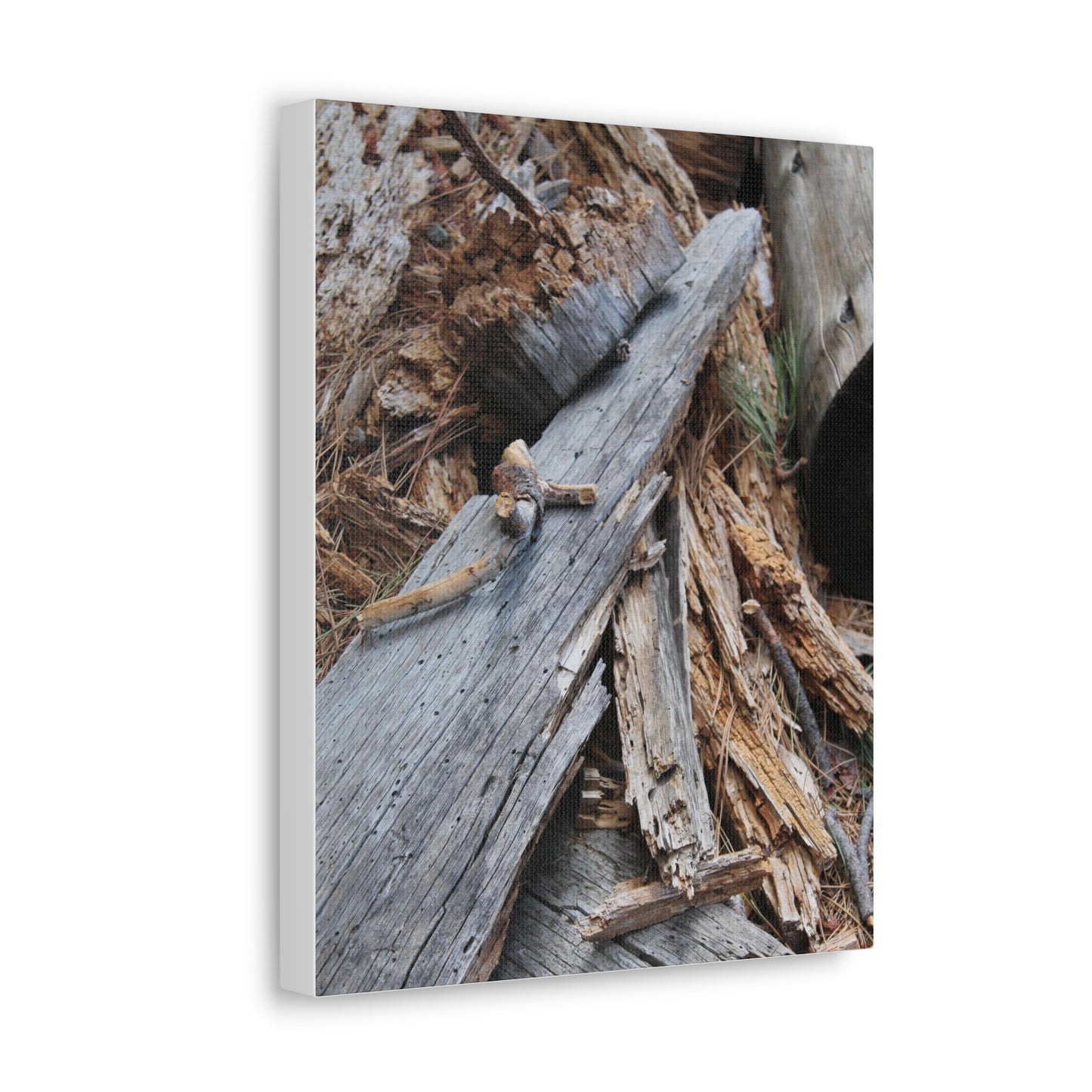 Wooden Textures Canvas