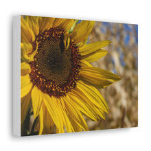 Load image into Gallery viewer, Sunflower Canvas
