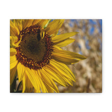 Load image into Gallery viewer, Sunflower Canvas
