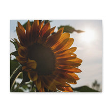 Load image into Gallery viewer, Orange Sunflower Canvas
