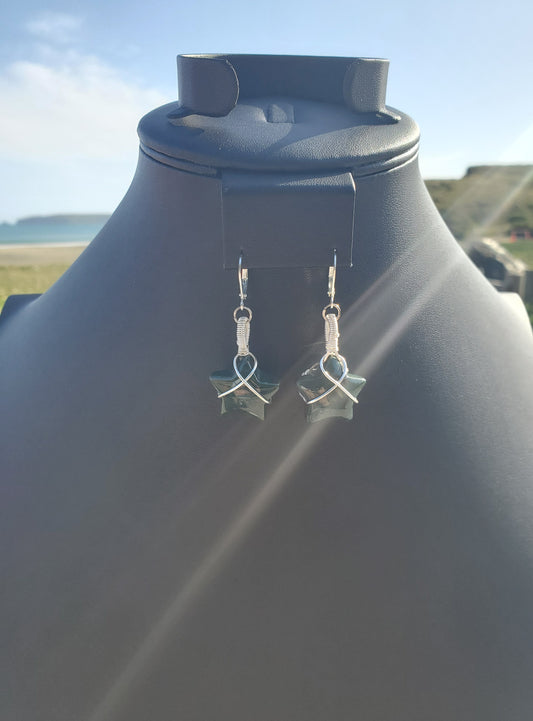 Ocean Jasper Star Earrings